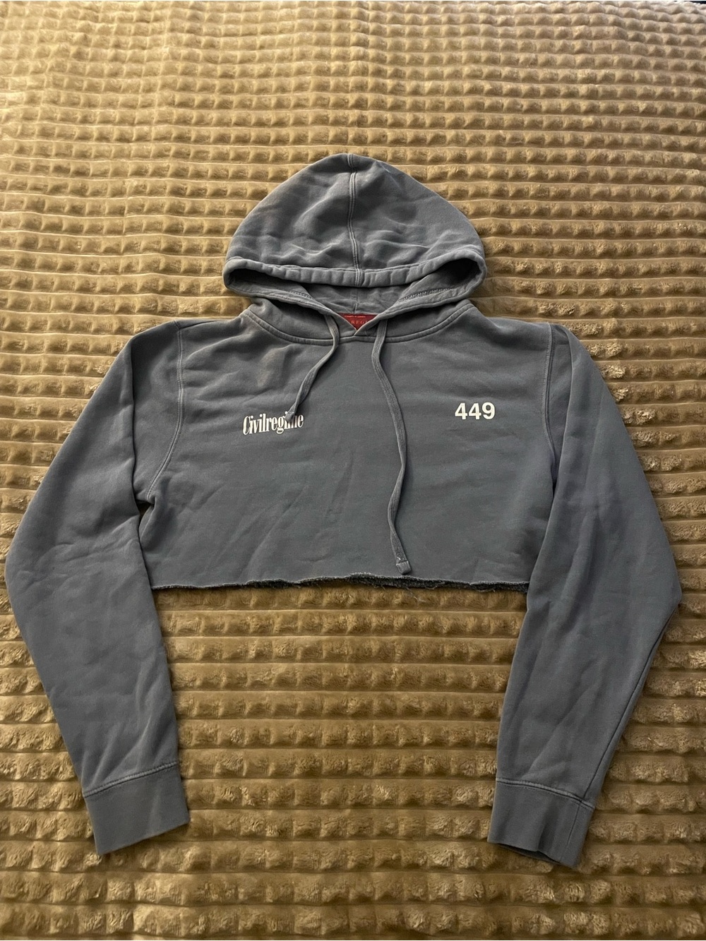 Civil Regime | Cropped Light Blue Hoodie with Butterfly Accent Piece | Hoodie